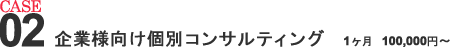 企業様向け個別コンサルティング