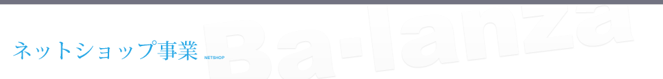 ネットショップ事業