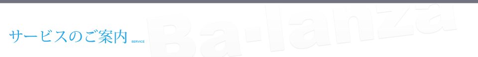サービスのご案内