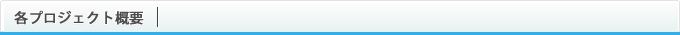 各プロジェクト概要